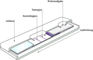Abbildung Testkassette